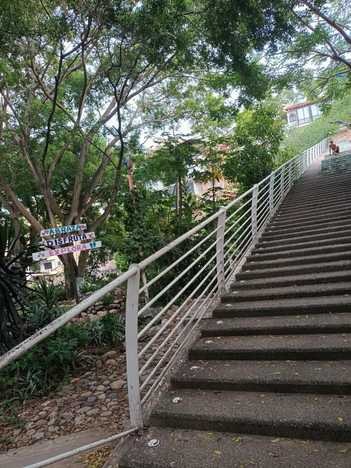 Hotel Ana Liz Puerto Vallarta Eksteriør billede